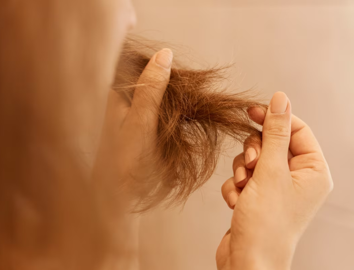 bfd06fe774816d2e973a4770f3982068295850b7